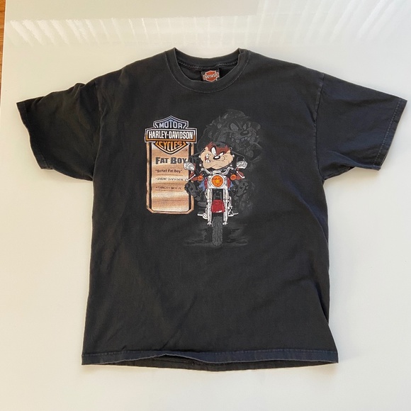Vintage Harley Davidson Taz Looney Tunes Fat Boy Biker Ohio T-Shirt Mens Large